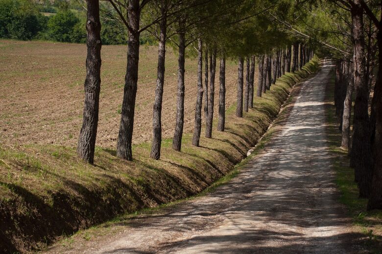 Agroturismo Agriturismo La Pieve