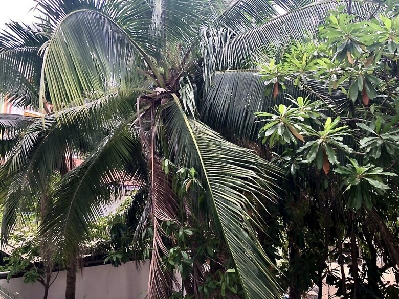Luxury Apartments In Grand Avenue