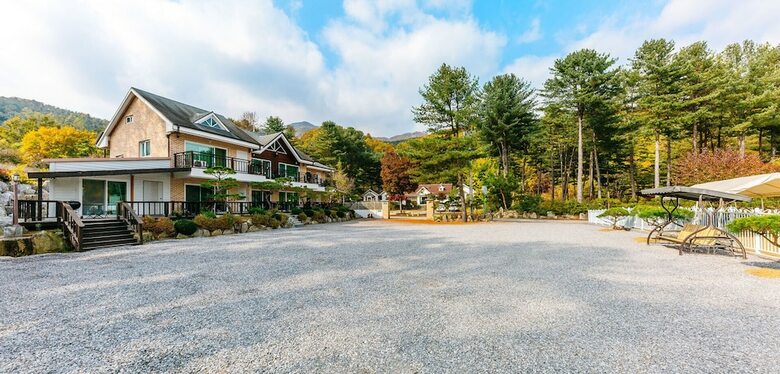 Dorothy's Forest Pension