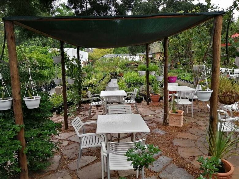 Hotel Fiore Guest Accommodation