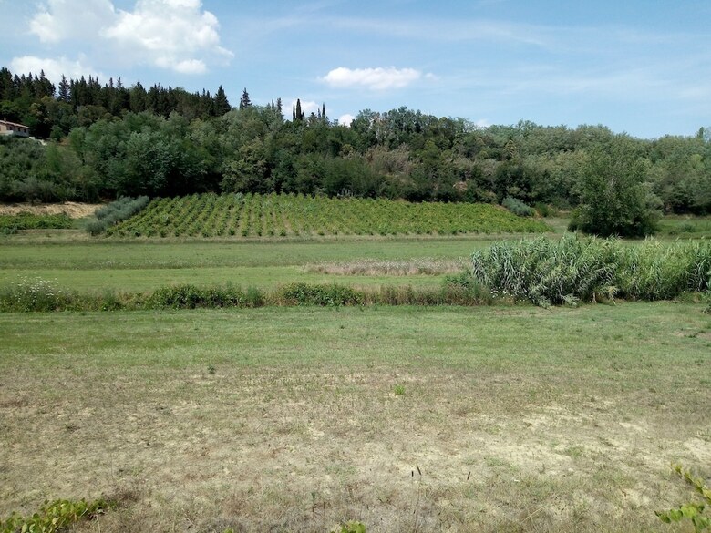 Agroturismo I Girasoli Di Lari
