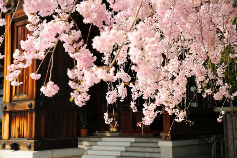 Nara Hotel