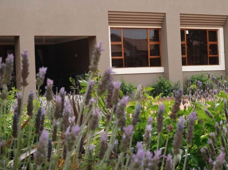 Hotel Ein Gedi Premier Lodge