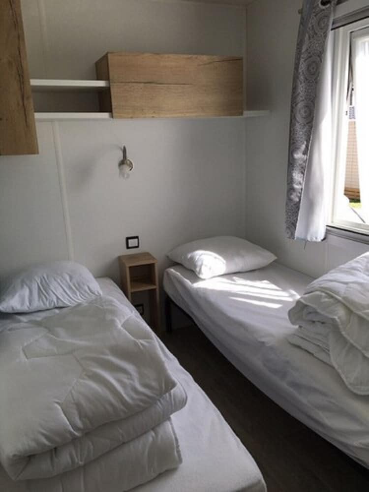 Sarcelle D'�t�