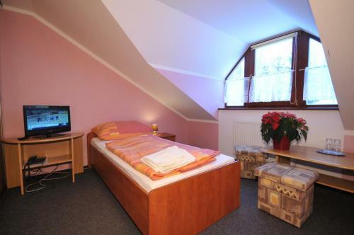 Hostal Penzion Lesna