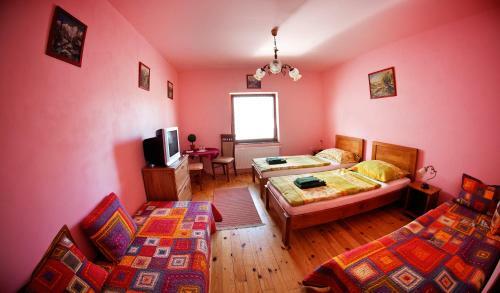 Hostal Penzion Plesnivec