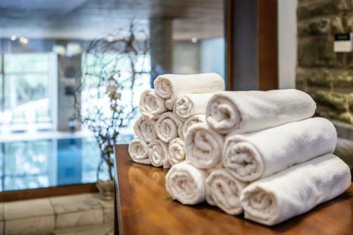 Hotel Partiz�n