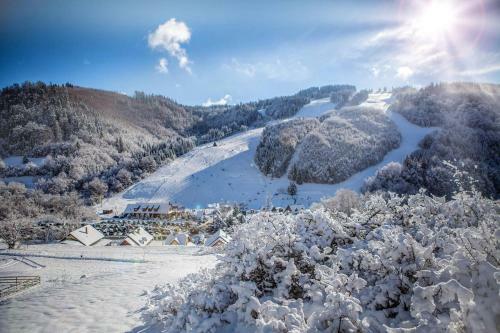 Hotel Partiz�n
