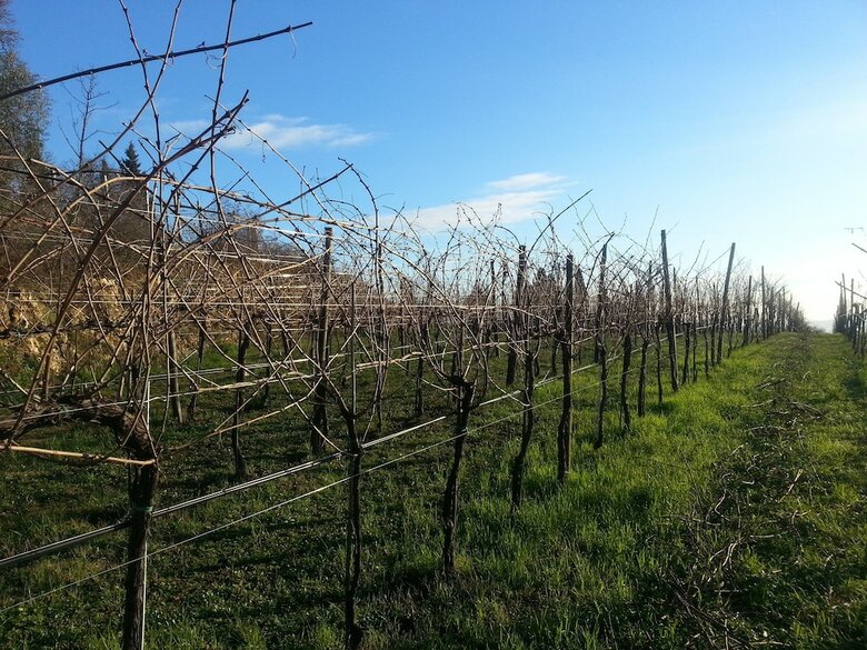 Agroturismo Le Mandolare