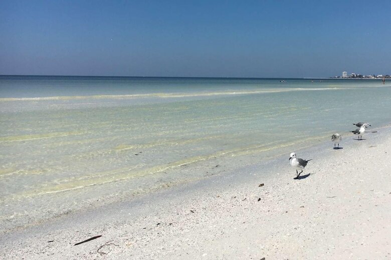 Minorga On The Key