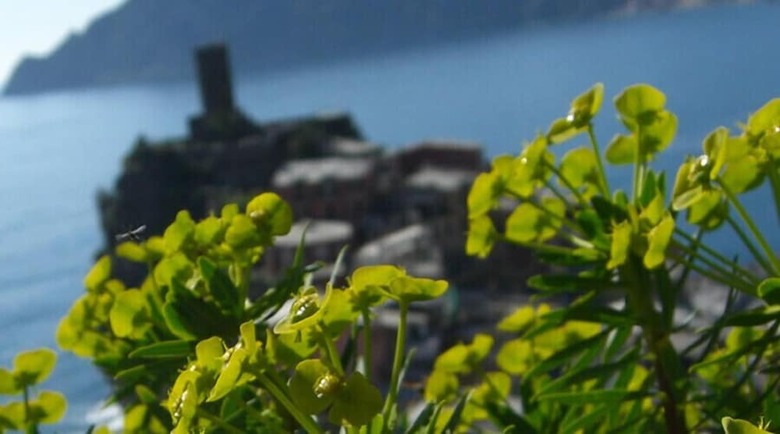 Hotel Albergo Barbara