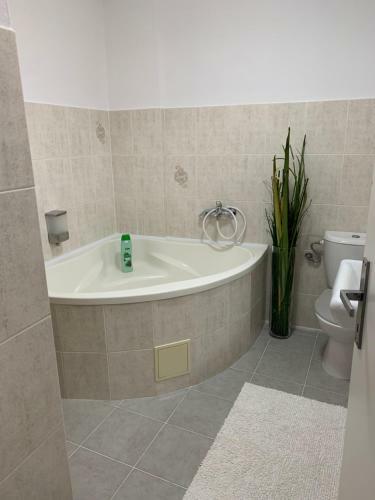 Hostal Penzion Holiday