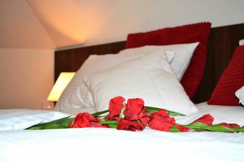 Hostal Penzion Luxor