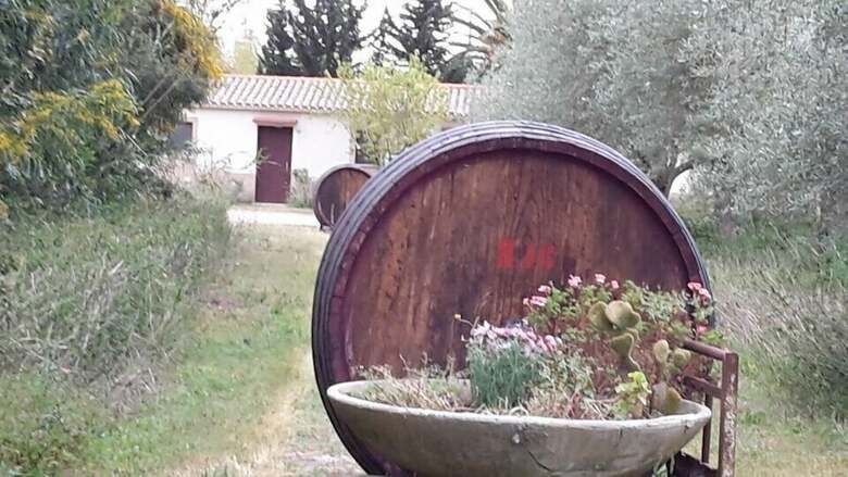 Agroturismo Agriturismo S'anea