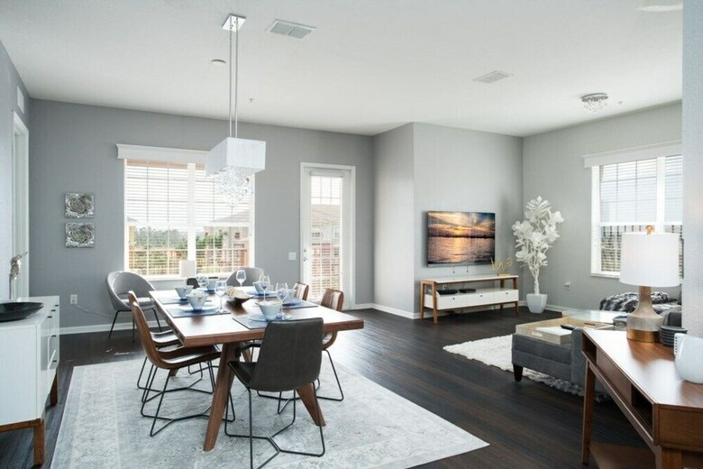 Penthouse Vision - All New!