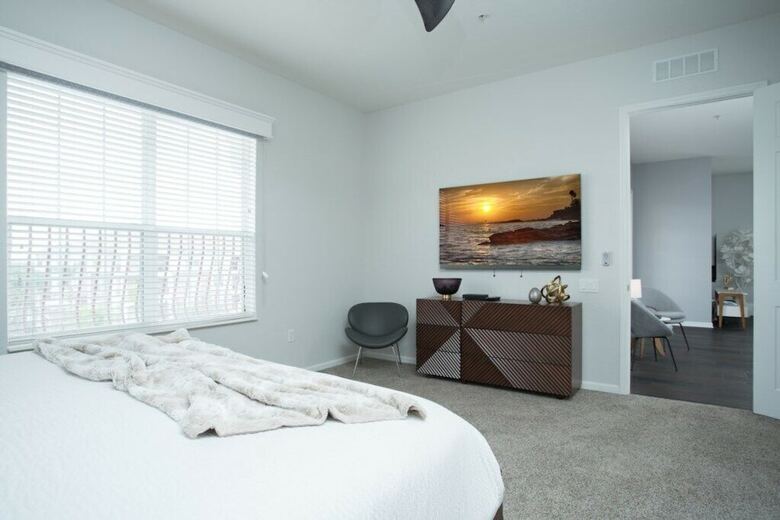 Penthouse Vision - All New!