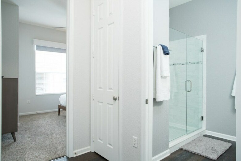 Penthouse Vision - All New!