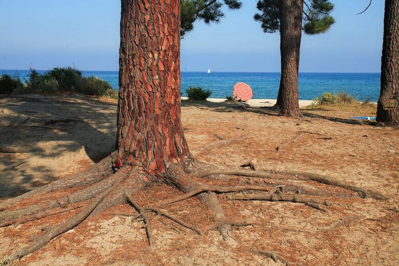 Camping U Casone