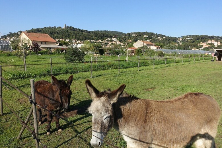 Gites Du Pagoulin