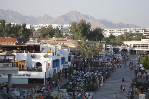 Camel Dive Club & Hotel (Boutique Hotel)