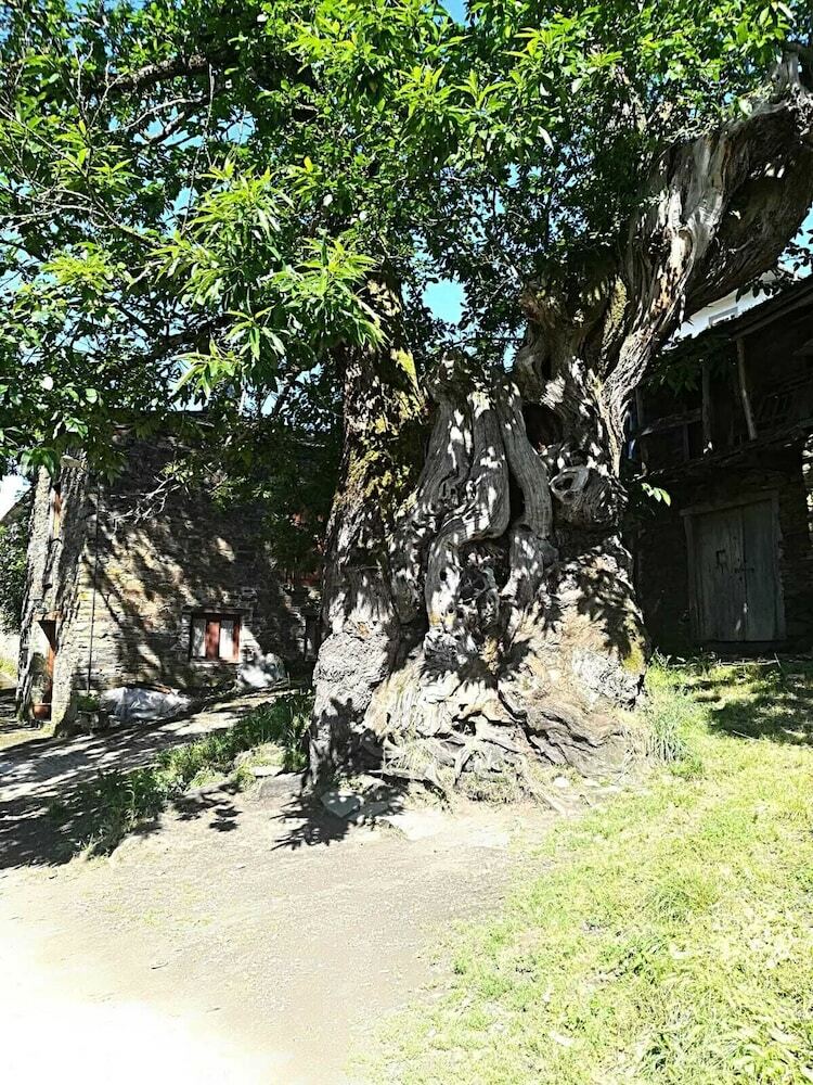 Hostal Casa Simon
