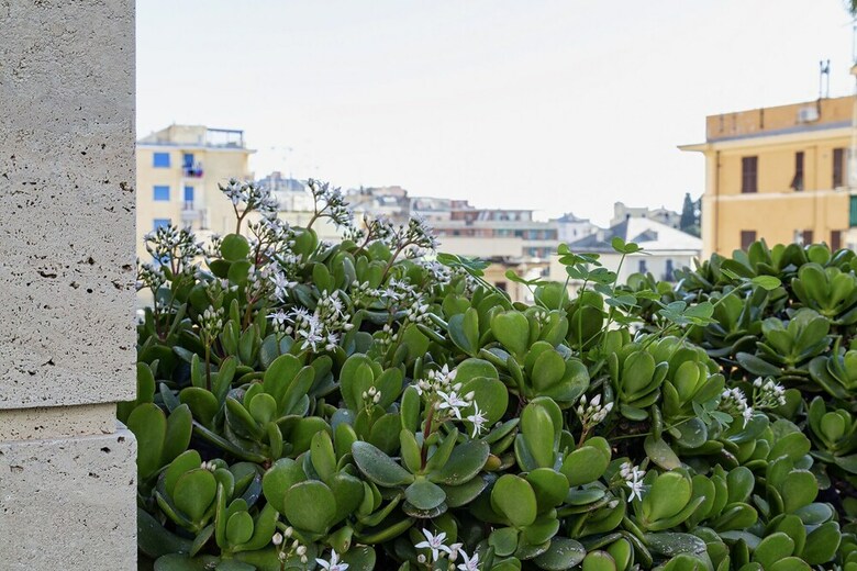 Apartamento Casa Leon D'oro A Mare By Wonderful Italy