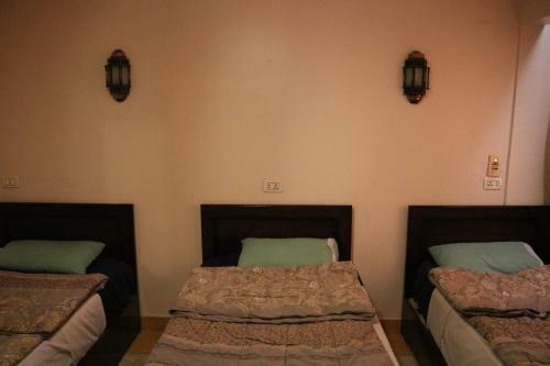 Wake Up! Cairo Hostel