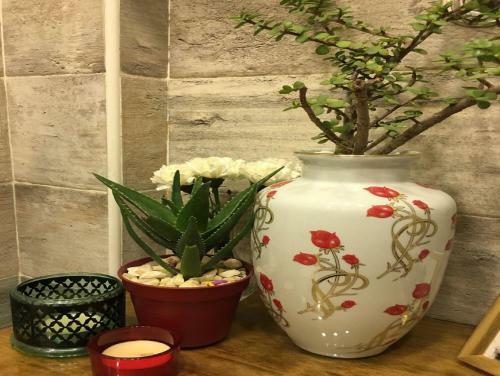Albergue Paris Hotel Cairo