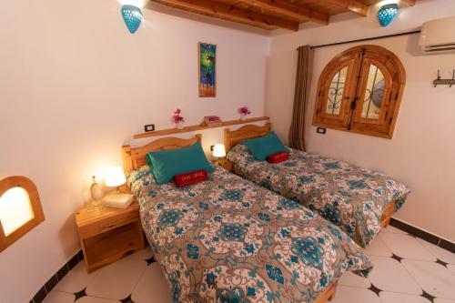 Hotel Dive Urge