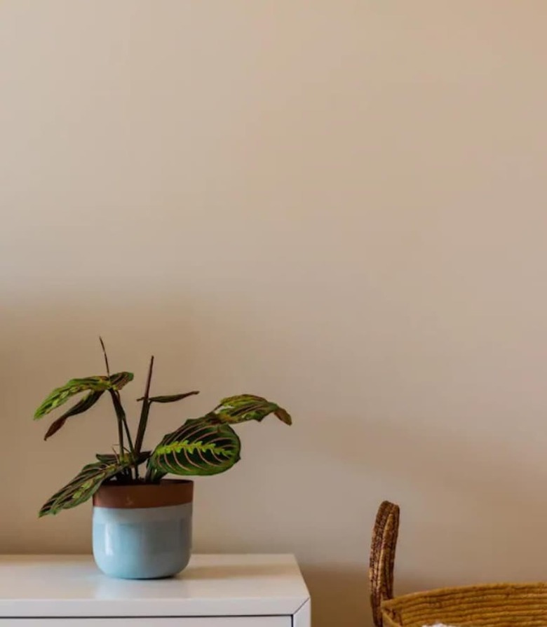 Apartamentos Breina