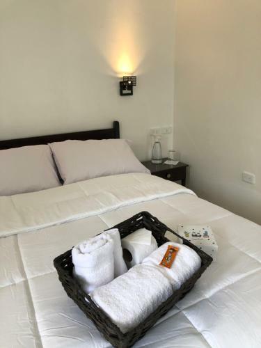 Albergue Hostal Cactus