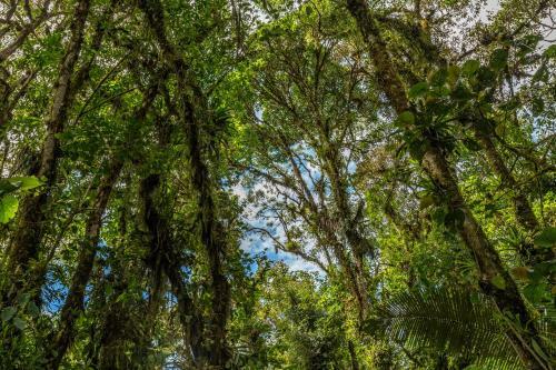 Lodge Caba�as San Isidro