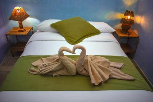 Hotel Miconia
