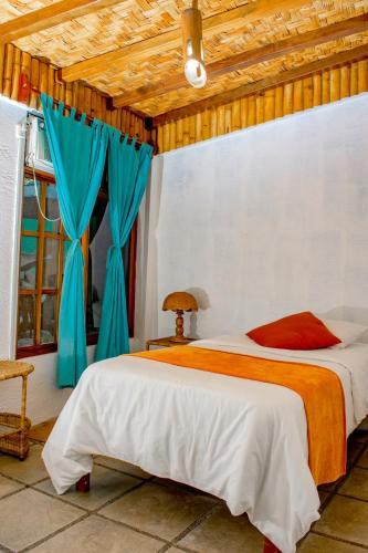 Hotel Miconia