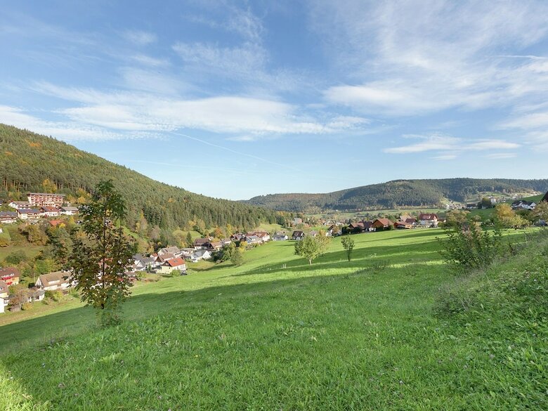 Quietly Situated, Bright Apartment In Baiersbronn With Private Balcony