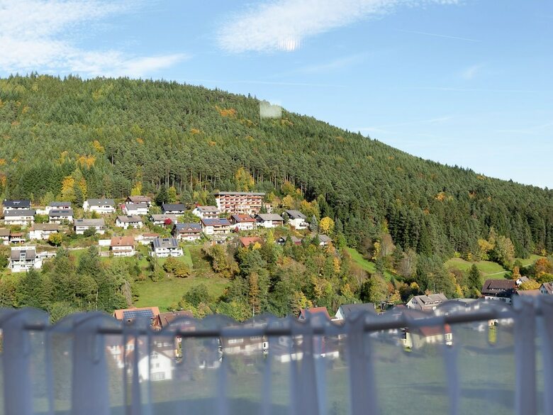 Quietly Situated, Bright Apartment In Baiersbronn With Private Balcony
