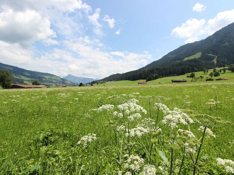 Apartment In Brixen Im Thale With Balcony And Garden