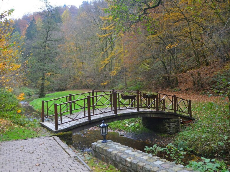 Luxurious Mill In Vresse-sur-semois With Swimming Pool