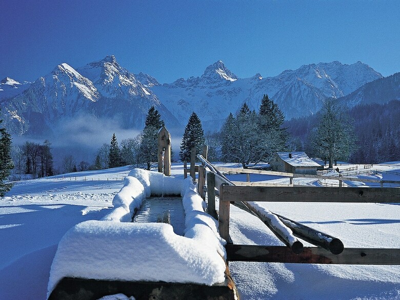 Charming Mansion Near Ski Area In B�rserberg