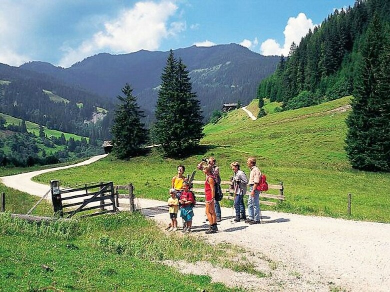 Luxurious Chalet In K�tschach-mauthen Near Ski Area