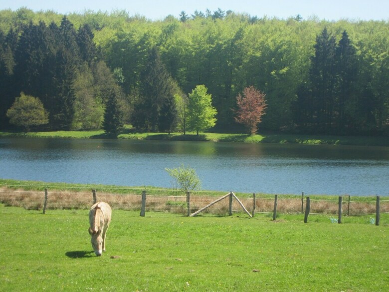 Charming Villa In Noirefontaine Near Forest