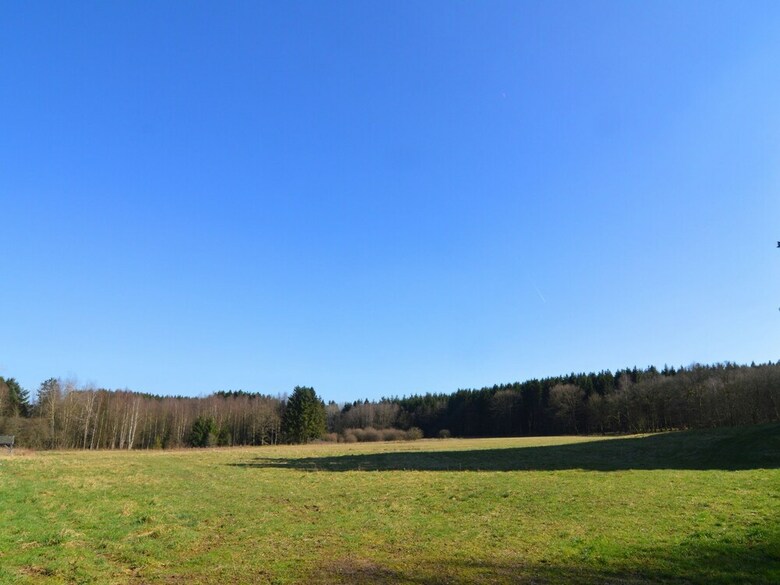 Modern Holiday Home In Viroinval With Forest Near
