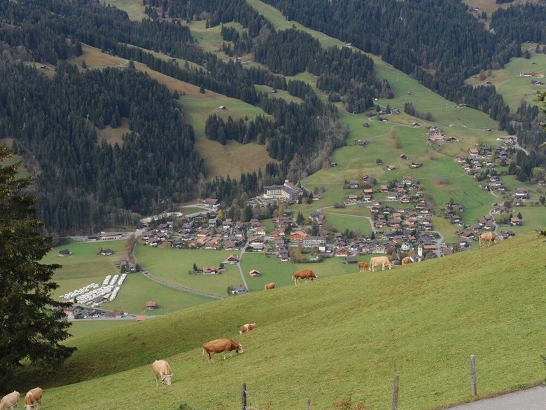 Stunning Apartment In Lenk Im Simmental With Terrace