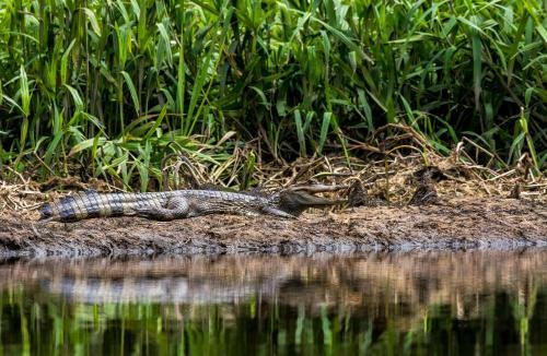 Anaconda Lodge Ecuador