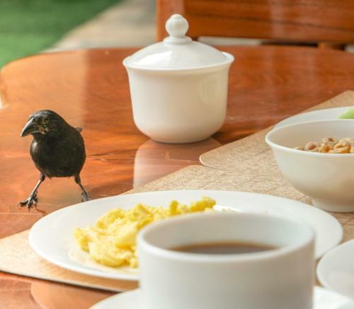 Hotel Espa�a