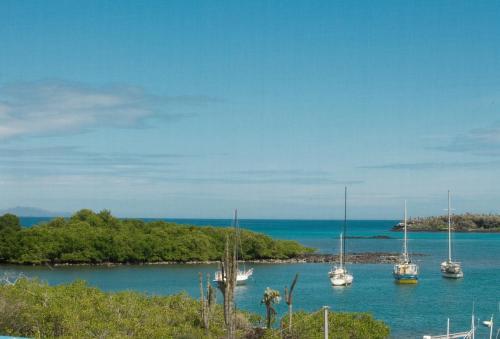 Galapagos Ocean Villa