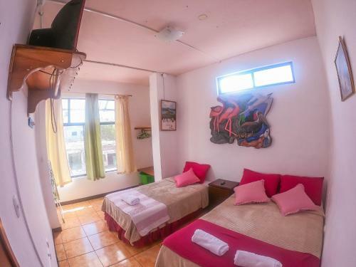 Apartamentos Suites Tintorera