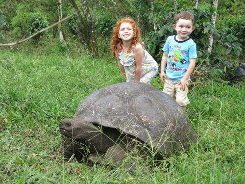 Semilla Verde Lodge