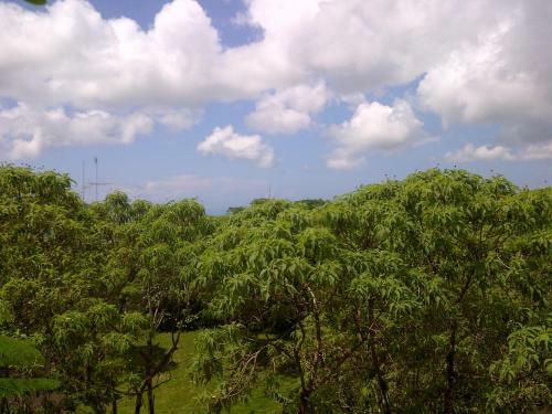 Semilla Verde Lodge