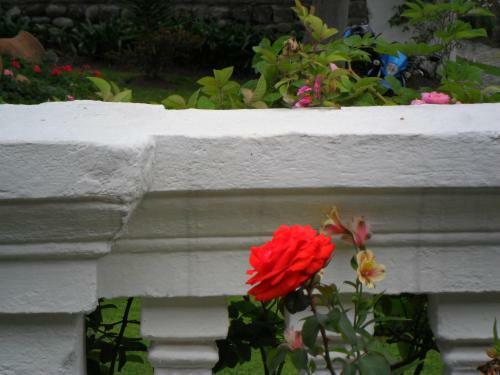 Bed & Breakfast Su Merced